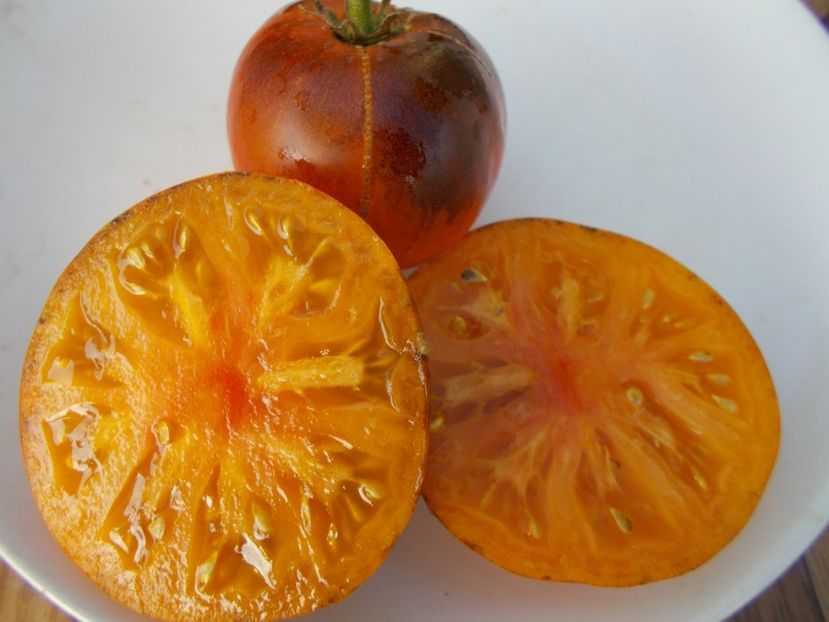  - SEMINTE ROSII - T 303 LUCID GEM - BRUNO