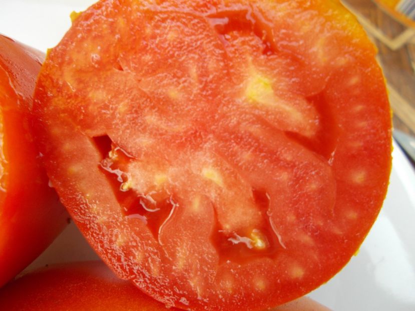  - SEMINTE ROSII - T 302 SAINT JEAN D ANGELY