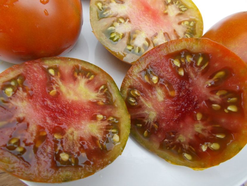  - SEMINTE ROSII - T 301 SPUTNIK