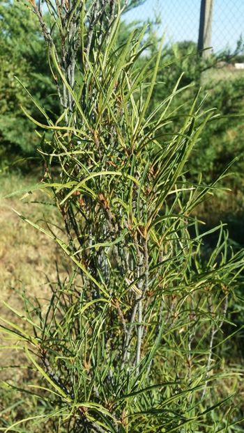  - curtea cu toate cele 2019