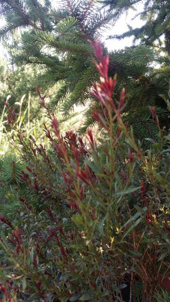  - curtea cu toate cele 2019