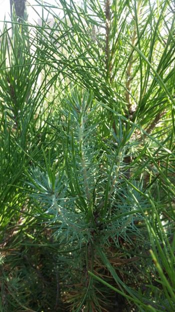  - curtea cu toate cele 2019