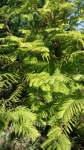  - curtea cu toate cele 2019