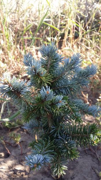  - curtea cu toate cele 2019