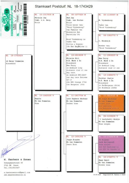 Pedigree - Achizitii - 2019 - matca