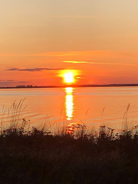 12.08.2019 APUS - CANADA august 2019
