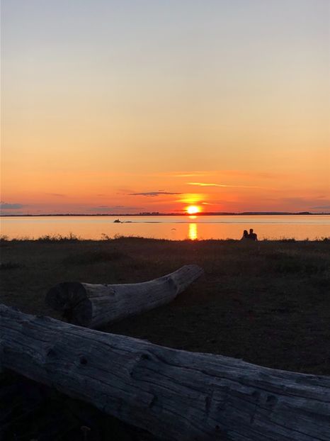12.08.2019 apus - CANADA august 2019