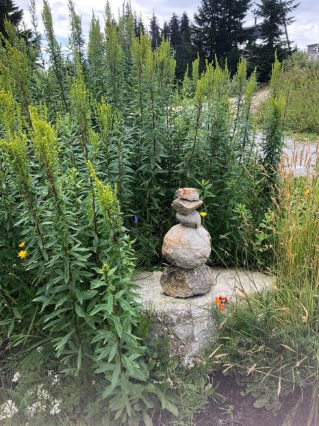Grouse Mountain 13.08.2019 - CANADA august 2019