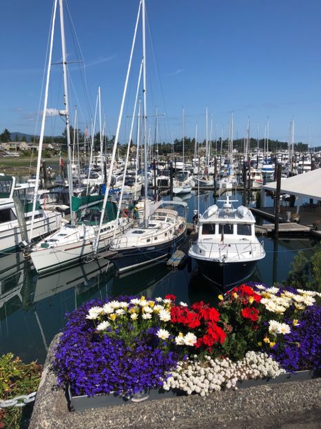 Sidney City - 14.08.2019 - CANADA august 2019
