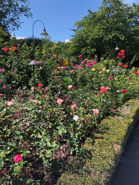 14.08.2019 Butchart Garden - CANADA august 2019