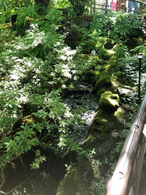 14.08.2019 Butchart Garden - CANADA august 2019