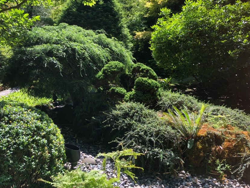 14.08.2019 Butchart Garden - CANADA august 2019