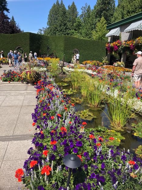 14.08.2019 Butchart Garden - CANADA august 2019