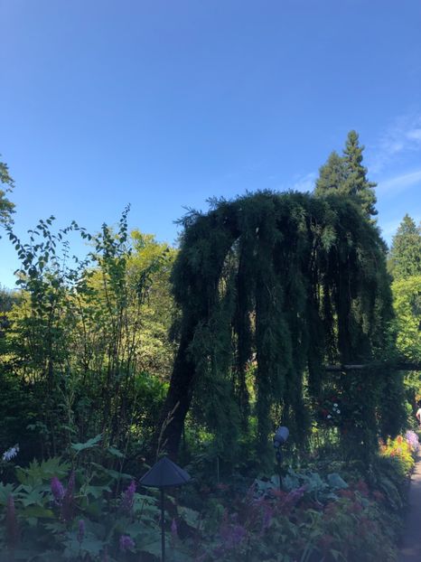14.08.2019 Butchart Garden - CANADA august 2019