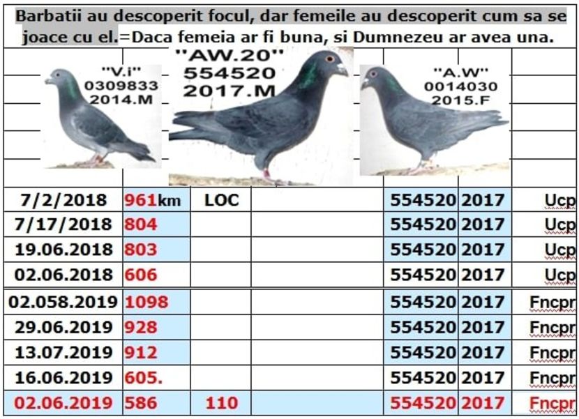 .1 AW 20 - 1 2001 CAMPION NATIONAL FOND LOC 1 nat PAL FOND LOC 1 nat
