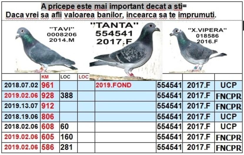 .1 TANTA 17 - 1 2001 CAMPION NATIONAL FOND LOC 1 nat PAL FOND LOC 1 nat