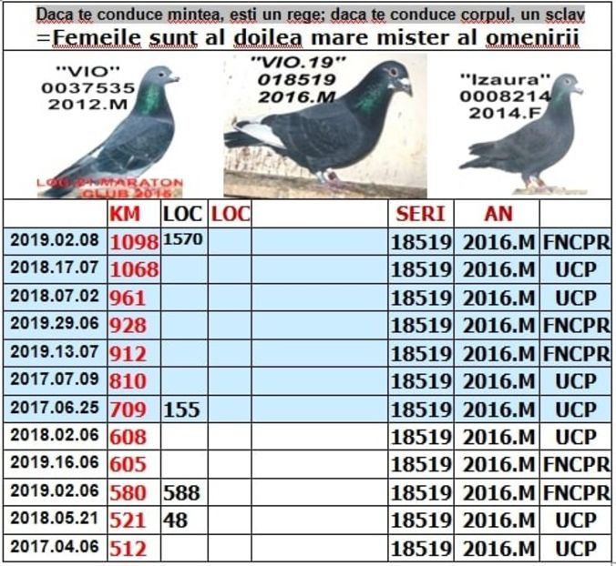 .1 vio 16 - 1 2001 CAMPION NATIONAL FOND LOC 1 nat PAL FOND LOC 1 nat