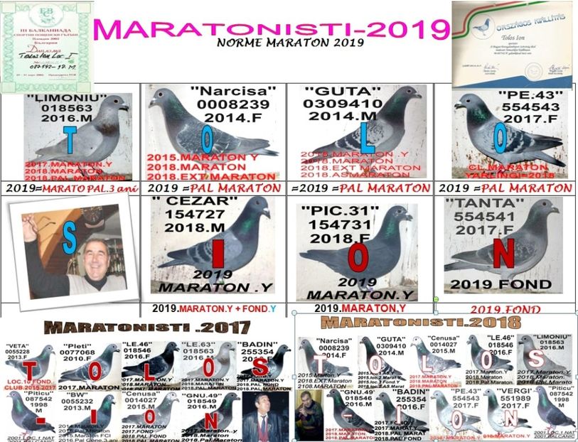 .2019 norme maraton - TOP CLASARI 2018