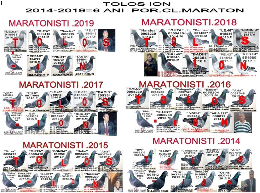 6 2014 2019 - TOP CLASARI 2018