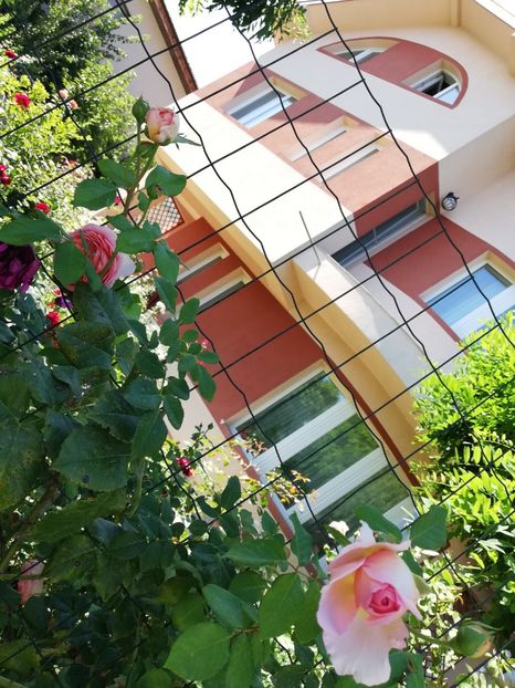  - Gradina august 2019