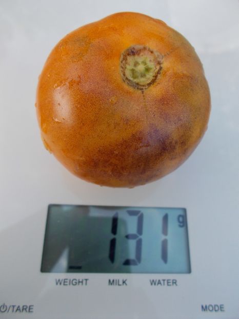  - SEMINTE ROSII - T 373 ORANGE FLESHED PURPLE SMUDGE