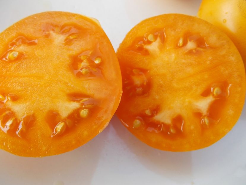  - SEMINTE ROSII - T 373 ORANGE FLESHED PURPLE SMUDGE