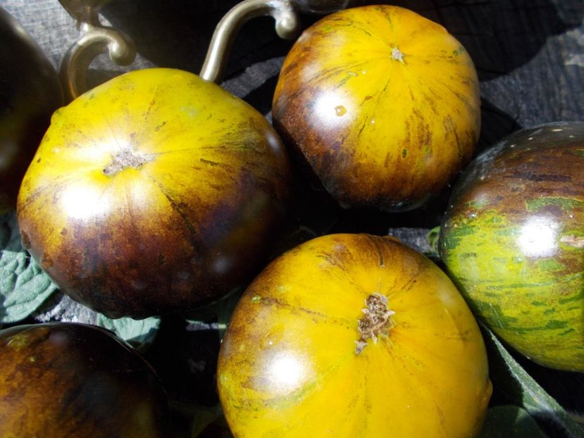  - SEMINTE ROSII - T 406 3242 AL