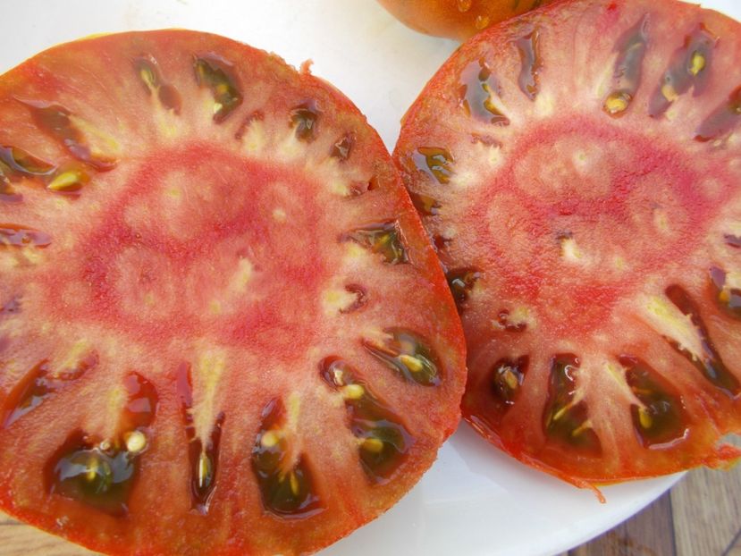  - SEMINTE ROSII - T 385 BANDED AMAZON