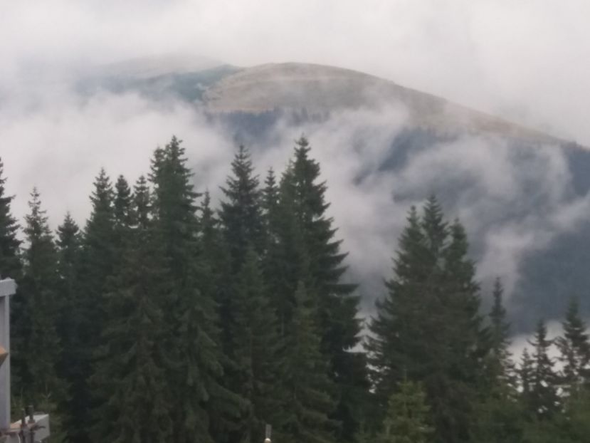  - 15 August 2019 - Transalpina