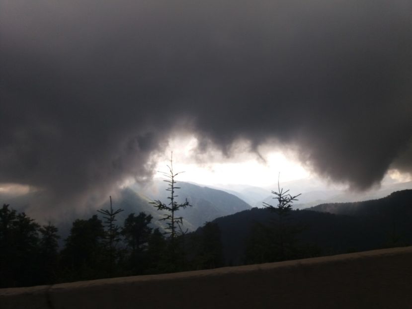  - 15 August 2019 - Transalpina