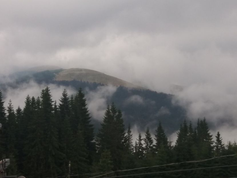  - 15 August 2019 - Transalpina