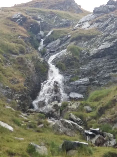  - 15 August 2019 - Transalpina