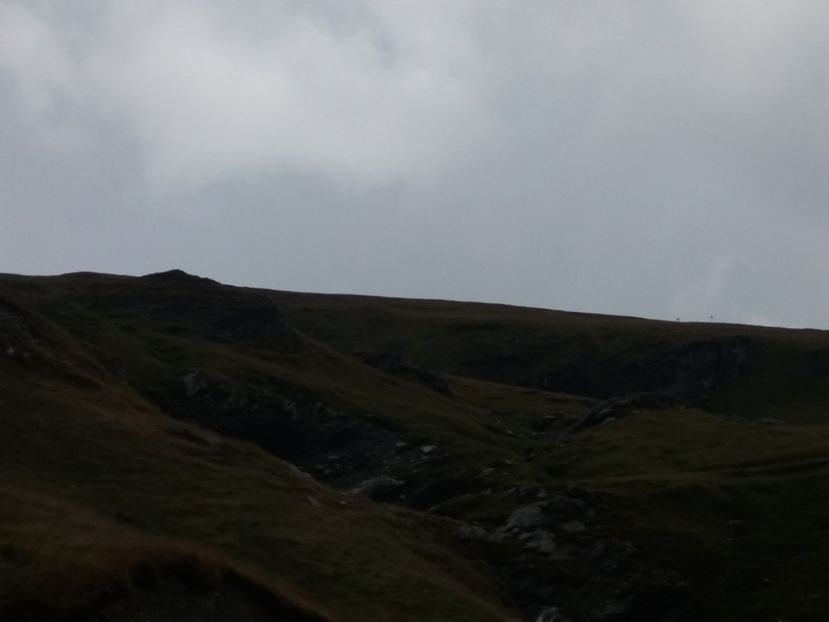  - 15 August 2019 - Transalpina