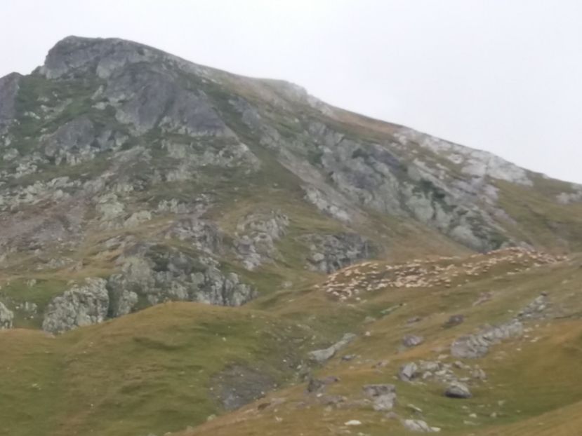  - 15 August 2019 - Transalpina