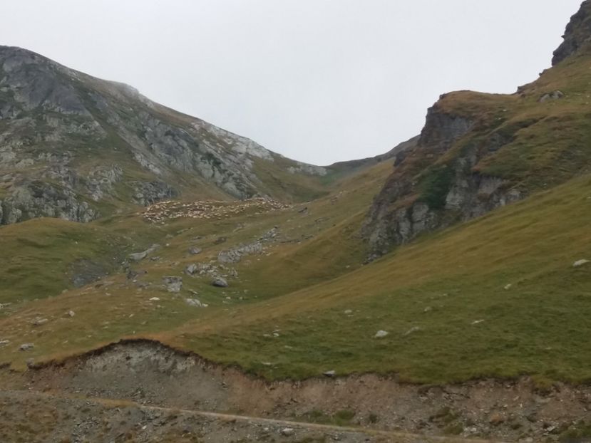  - 15 August 2019 - Transalpina