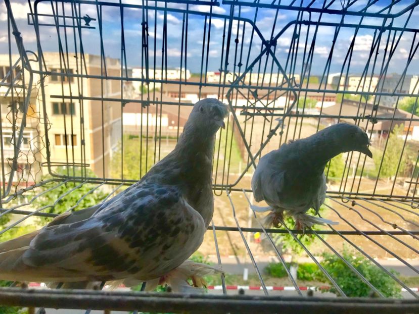 047DB75A-07D8-45DF-B08B-784CC41AF1A8 - Pui Takla