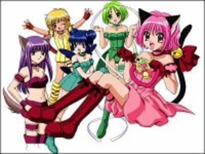 m_4558 - Tokyo mew mew