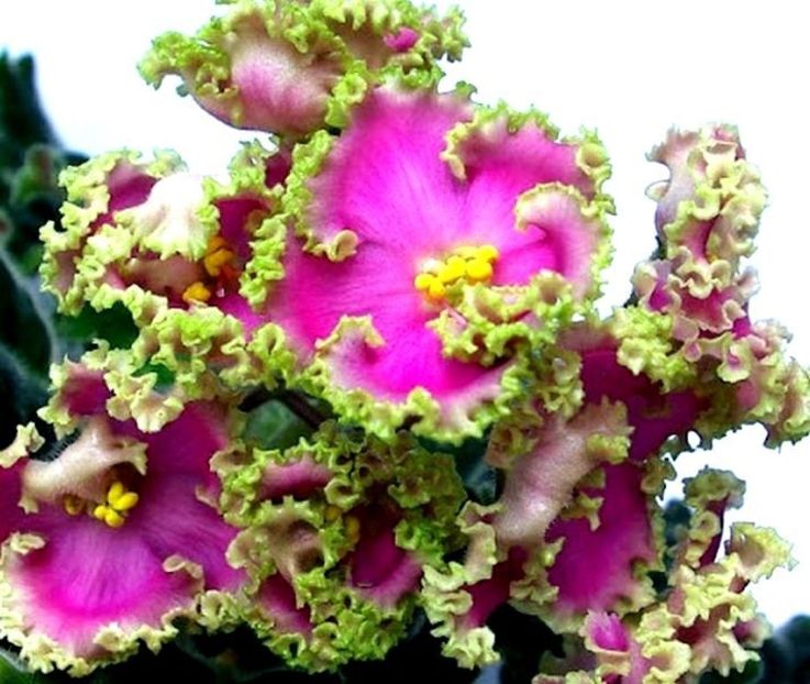  - High School Sweetheart