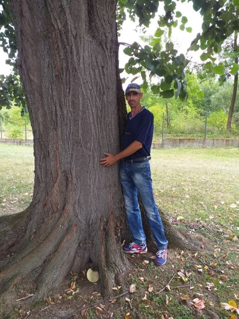  - Mânăstirea Dintr-un Lemn