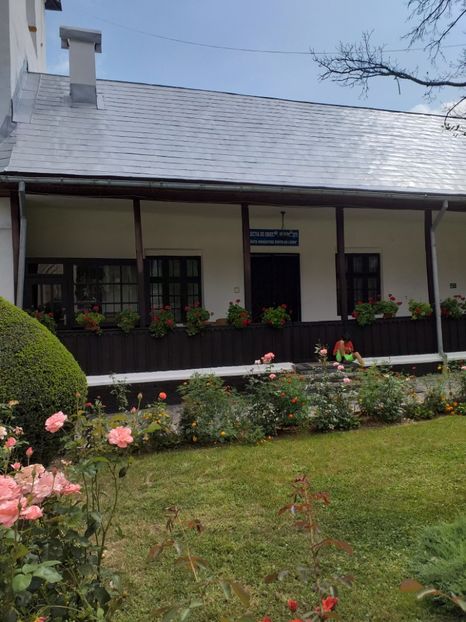  - Mânăstirea Dintr-un Lemn