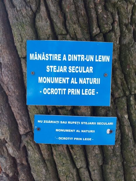  - Mânăstirea Dintr-un Lemn