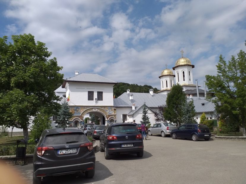  - Mânăstirea Dintr-un Lemn