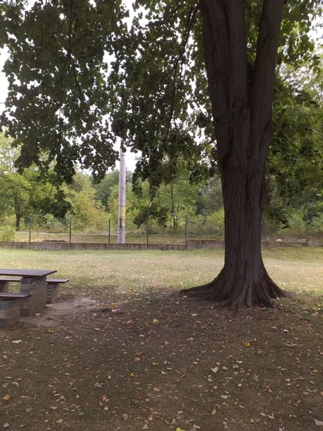  - Mânăstirea Dintr-un Lemn