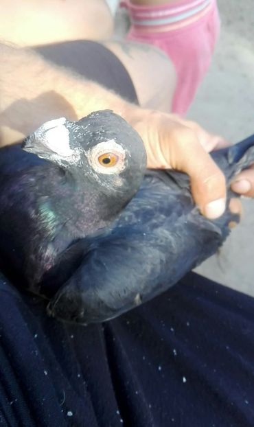 received_505709723537991 - 2019