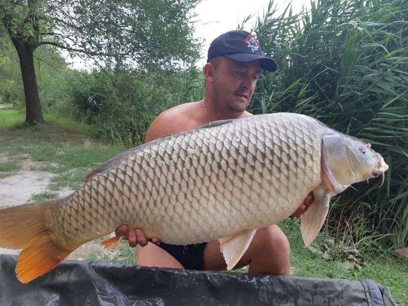 August 2019 Fisharena - Capturi-pesti