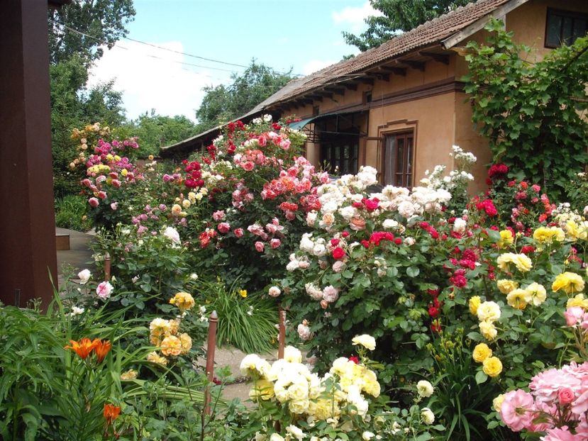  - Gradina 2019