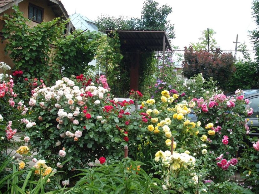  - Gradina 2019
