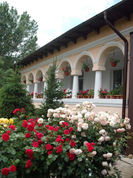 - Gradina 2019