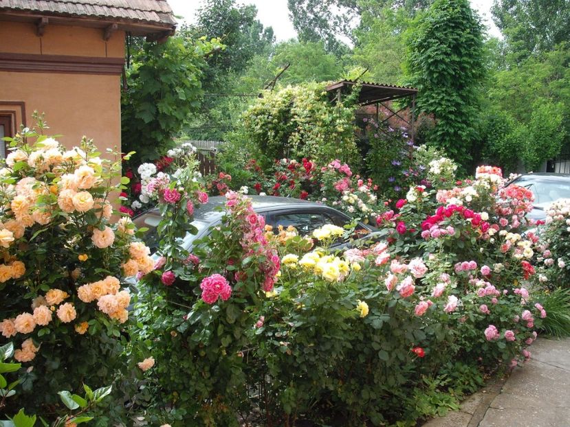  - Gradina 2019