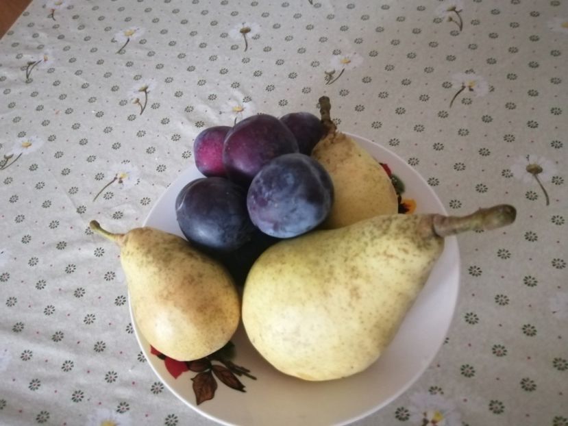  - Gradina cu legume-2017-acasa recolte 2018 - 2023